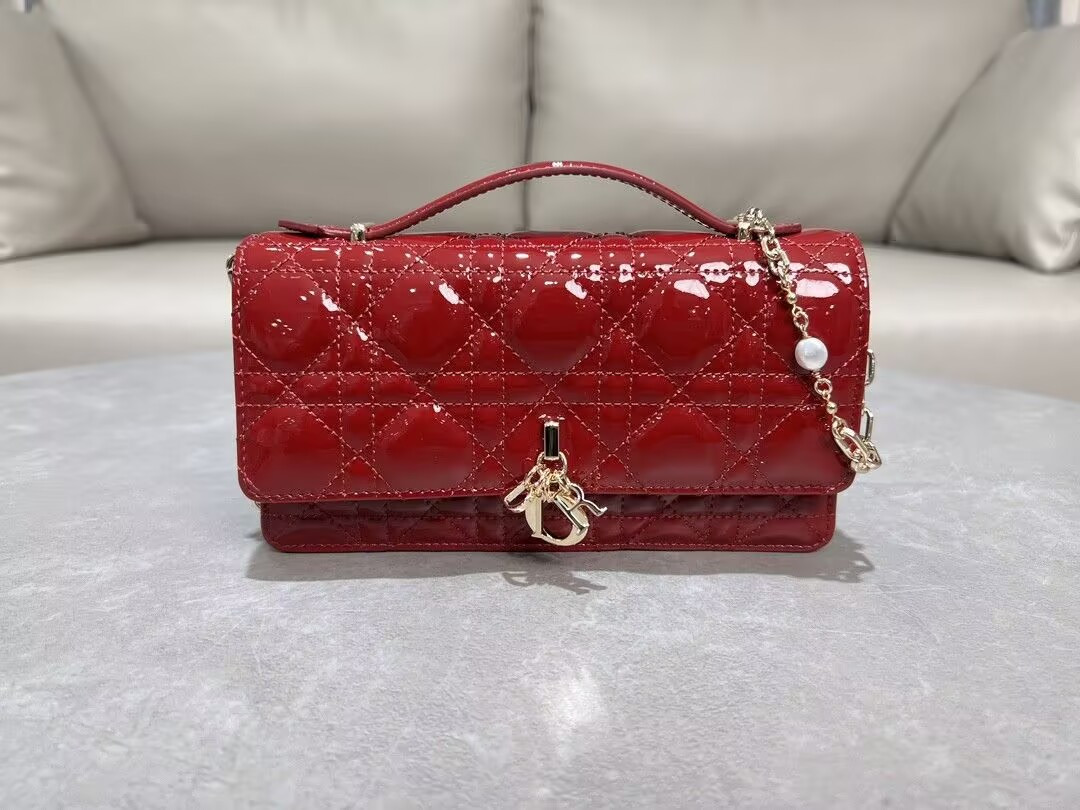 MISS DIOR MINI HANDBAG 21x11.5x4.5cm