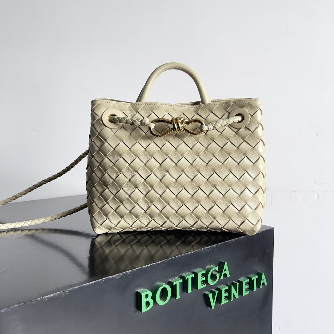 Bottega Veneta Small Andiamo 25x22x10.5cm