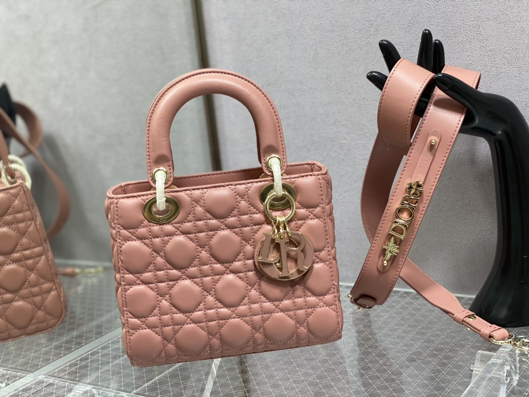 Small Lady DIORAMOUR My ABCDior Bag 8 x 6.5 x 3 inches