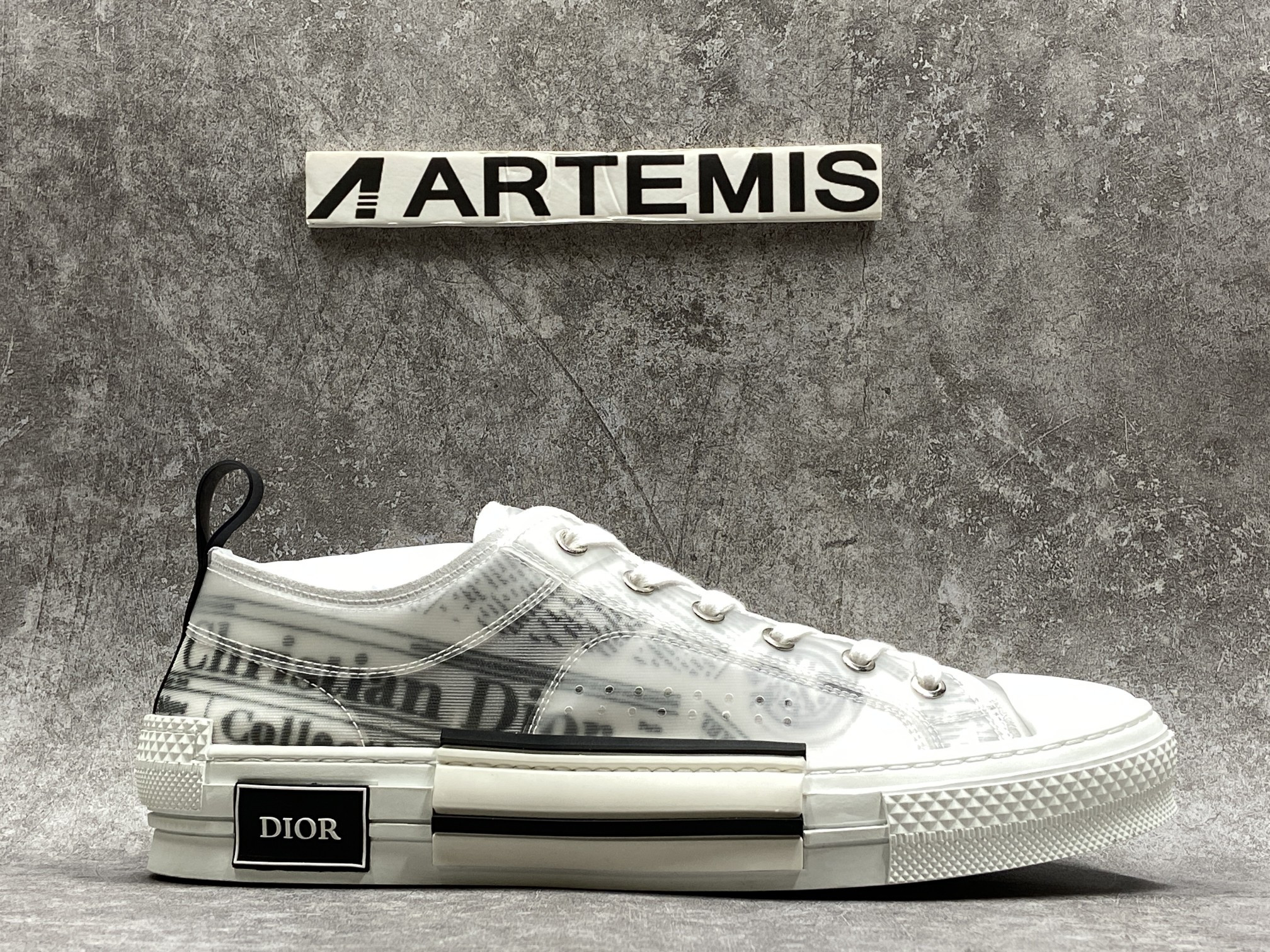 Dior B23 Low Top Daniel Asham Newspaper