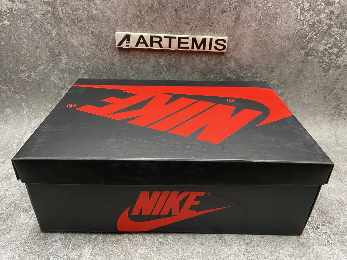 Air Jordan 1 Retro High Bio Hack