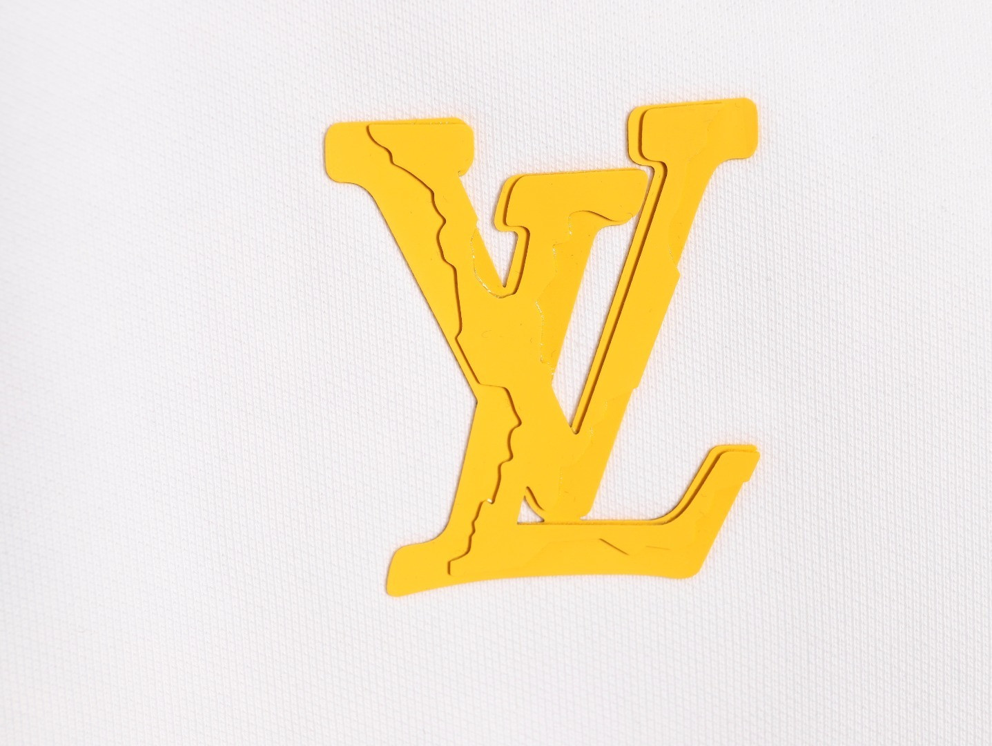 Louis Vuitton LV 25Fw Hoodies