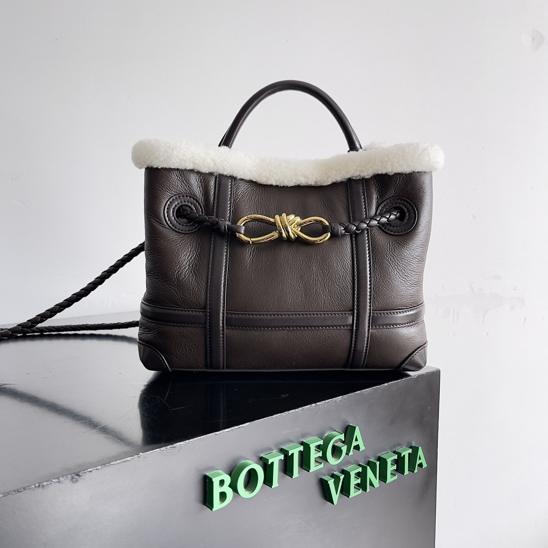 Bottega Veneta Small Andiamo 25x22x10.5cm